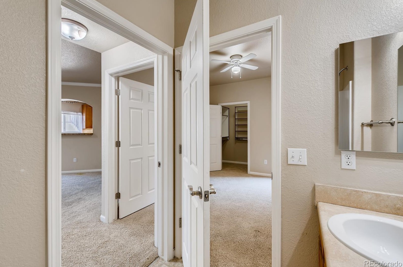 4502 Copeland Loop, Littleton CO 80126-7454 exterior