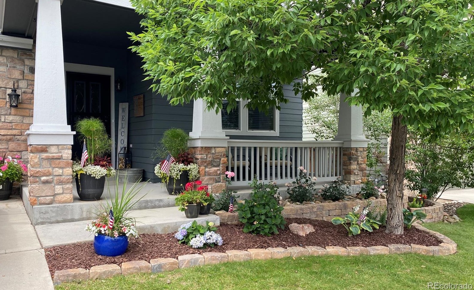 2533 Chesterfield Rd, Castle Rock, CO 80109-4562