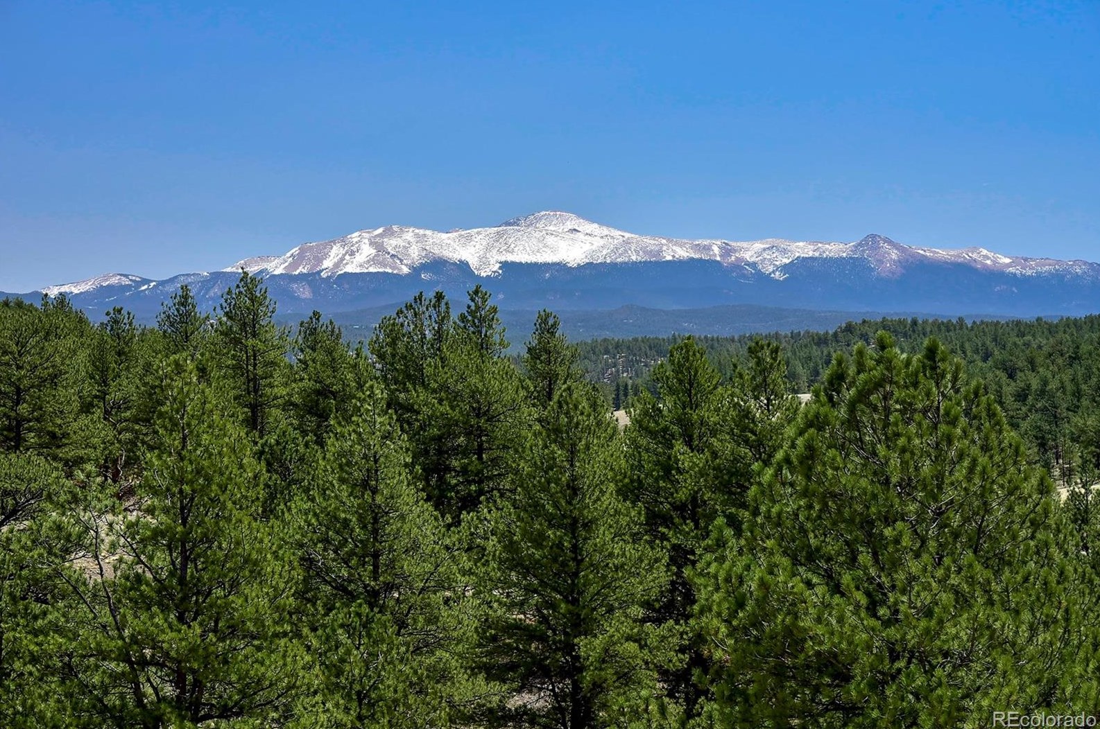 39466 Us Hwy 24, Tarryall, CO 80827