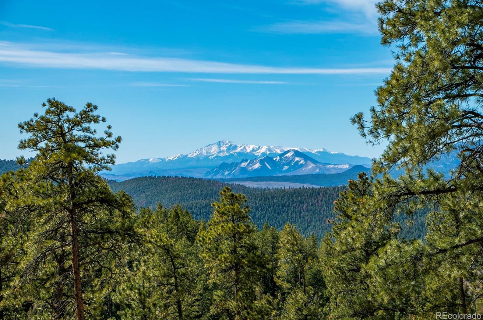 25811 Rampart Ln, Conifer, CO 80433