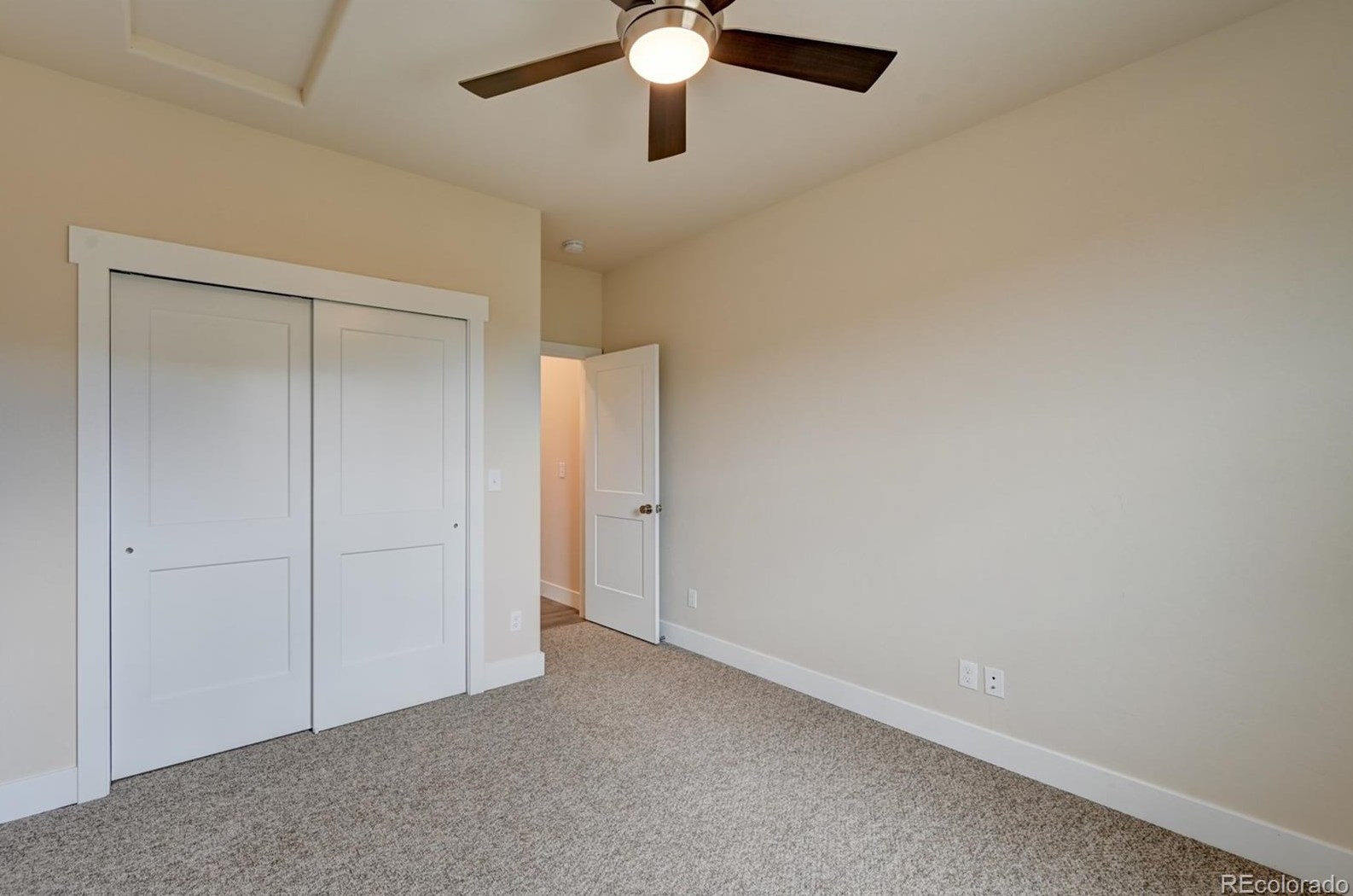 145 Red Tail Blvd, Buena Vista CO 81211-2207 exterior