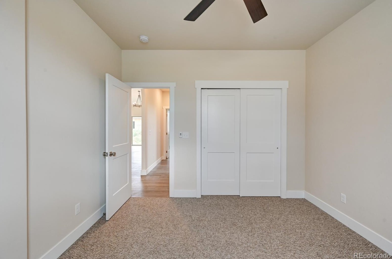 145 Red Tail Blvd, Buena Vista CO 81211-2207 exterior