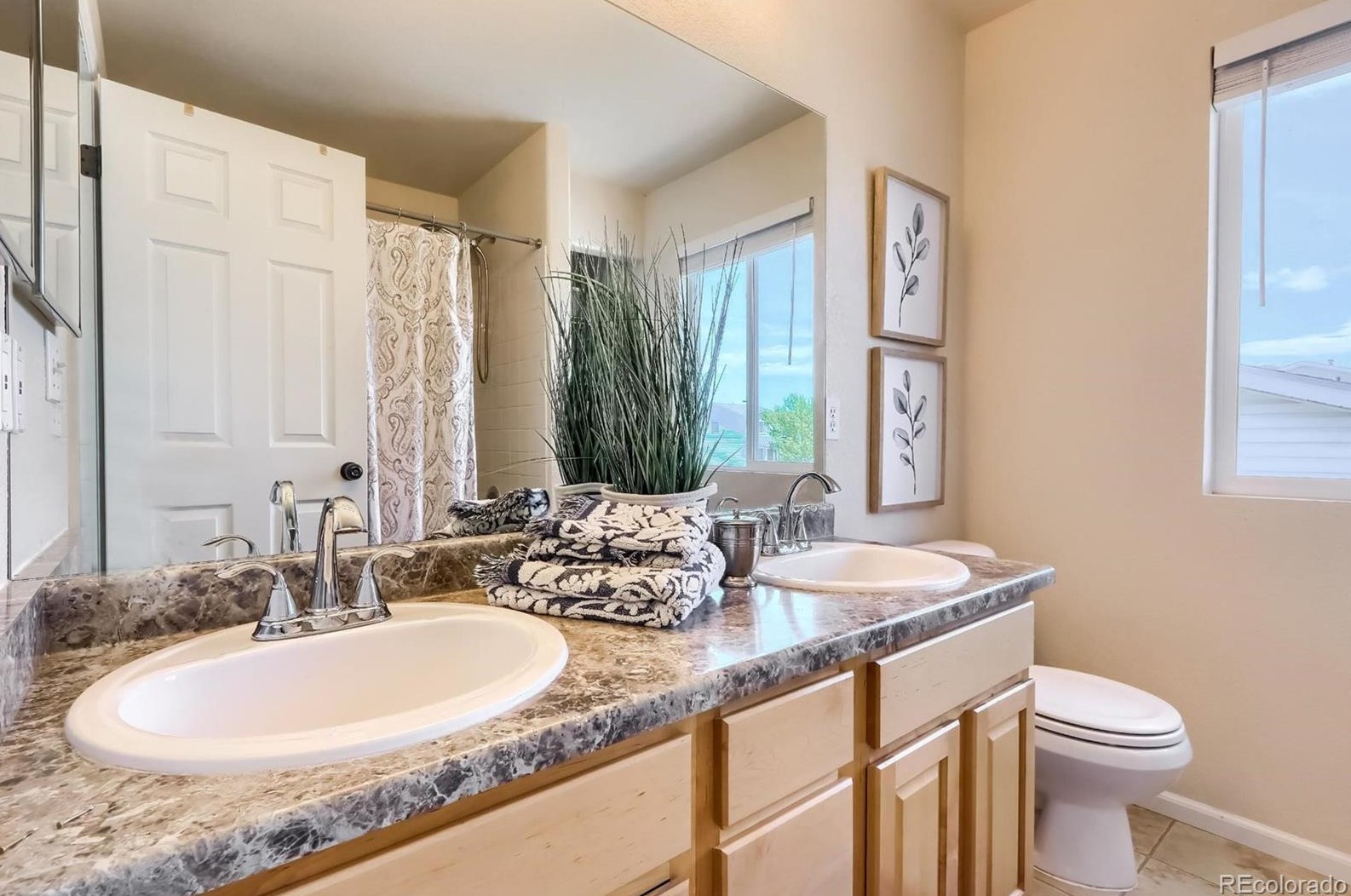 7690 Mule Deer Pl, Littleton CO 80125-8865 exterior