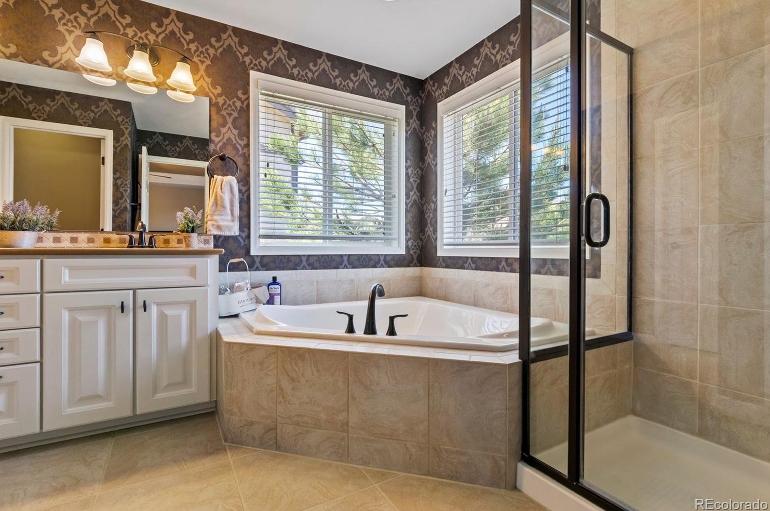 8081 Sabino Ln, Castle Rock CO  80108-9503 exterior