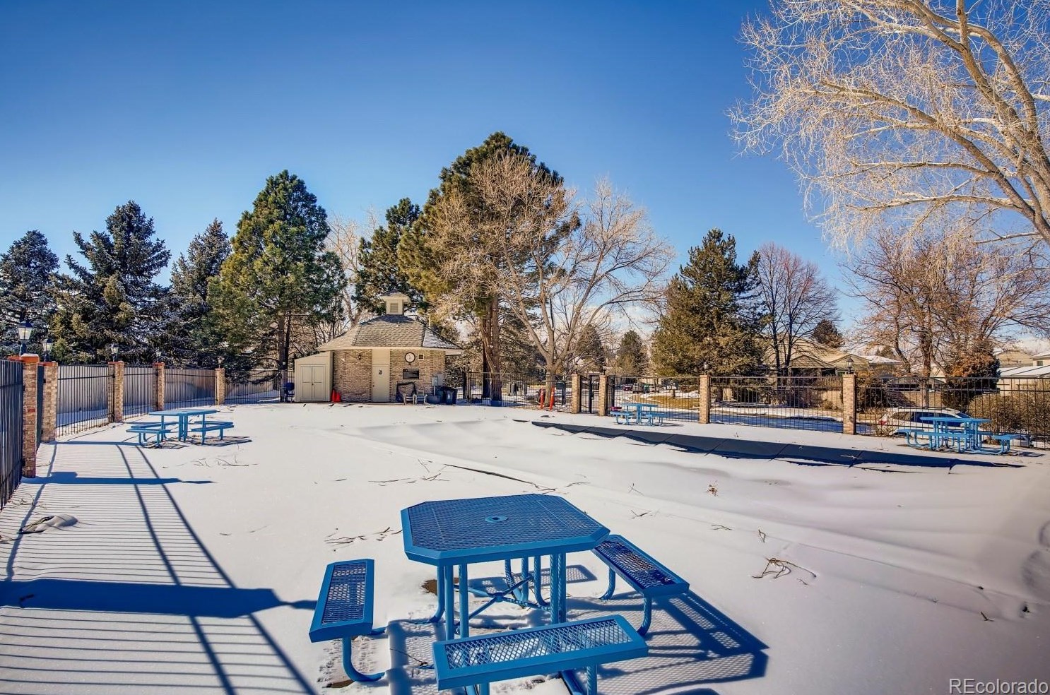 7700 Cove Cir, Littleton CO 80122-3355 exterior