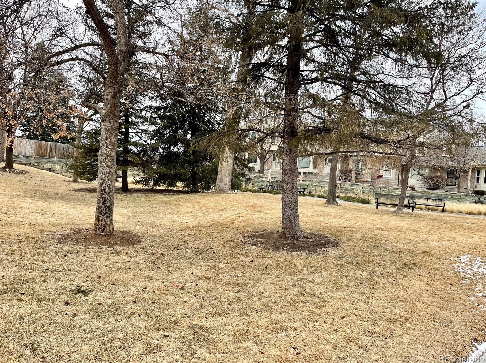 7700 Cove Cir, Littleton CO 80122-3355 exterior