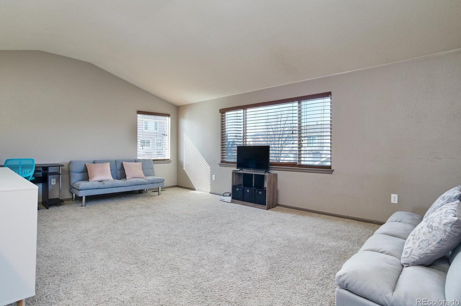 10271 Willowbridge Ct, Littleton CO 80126-7872 exterior