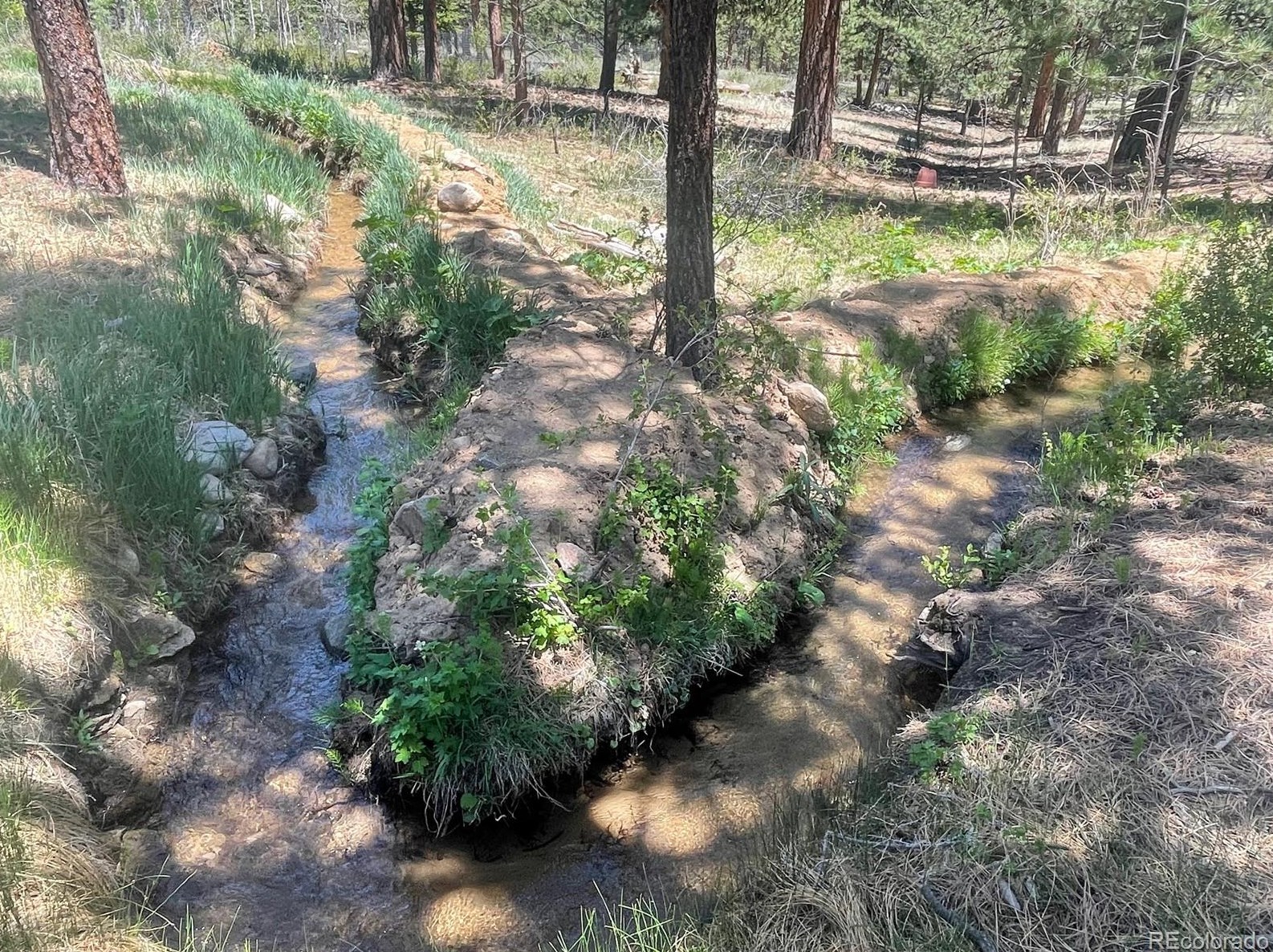 18563 Vis Dr, Buena Vista CO exterior