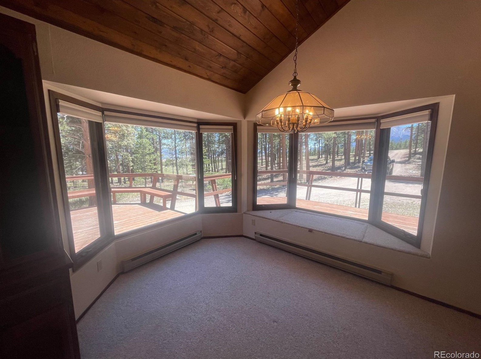 18563 Vis Dr, Buena Vista CO exterior