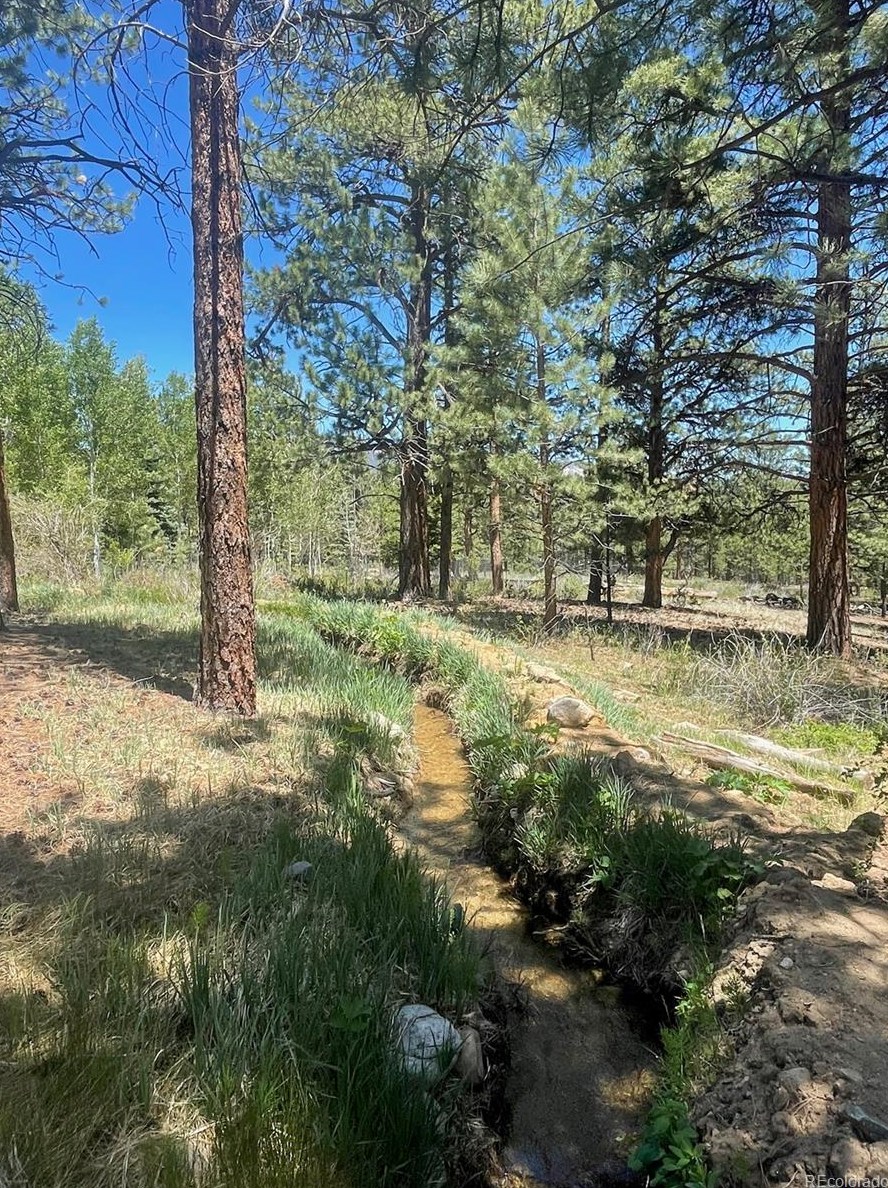 18563 Vis Dr, Buena Vista CO exterior