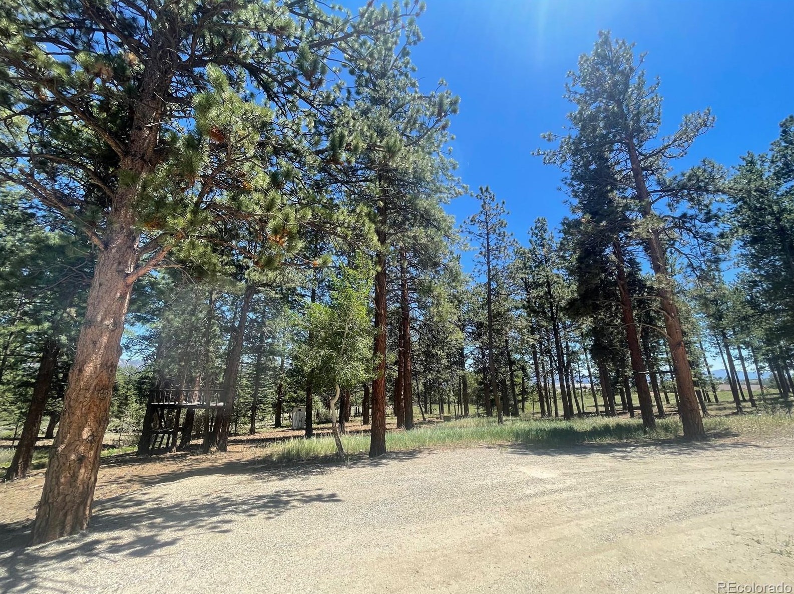 18563 Vis Dr, Buena Vista CO exterior