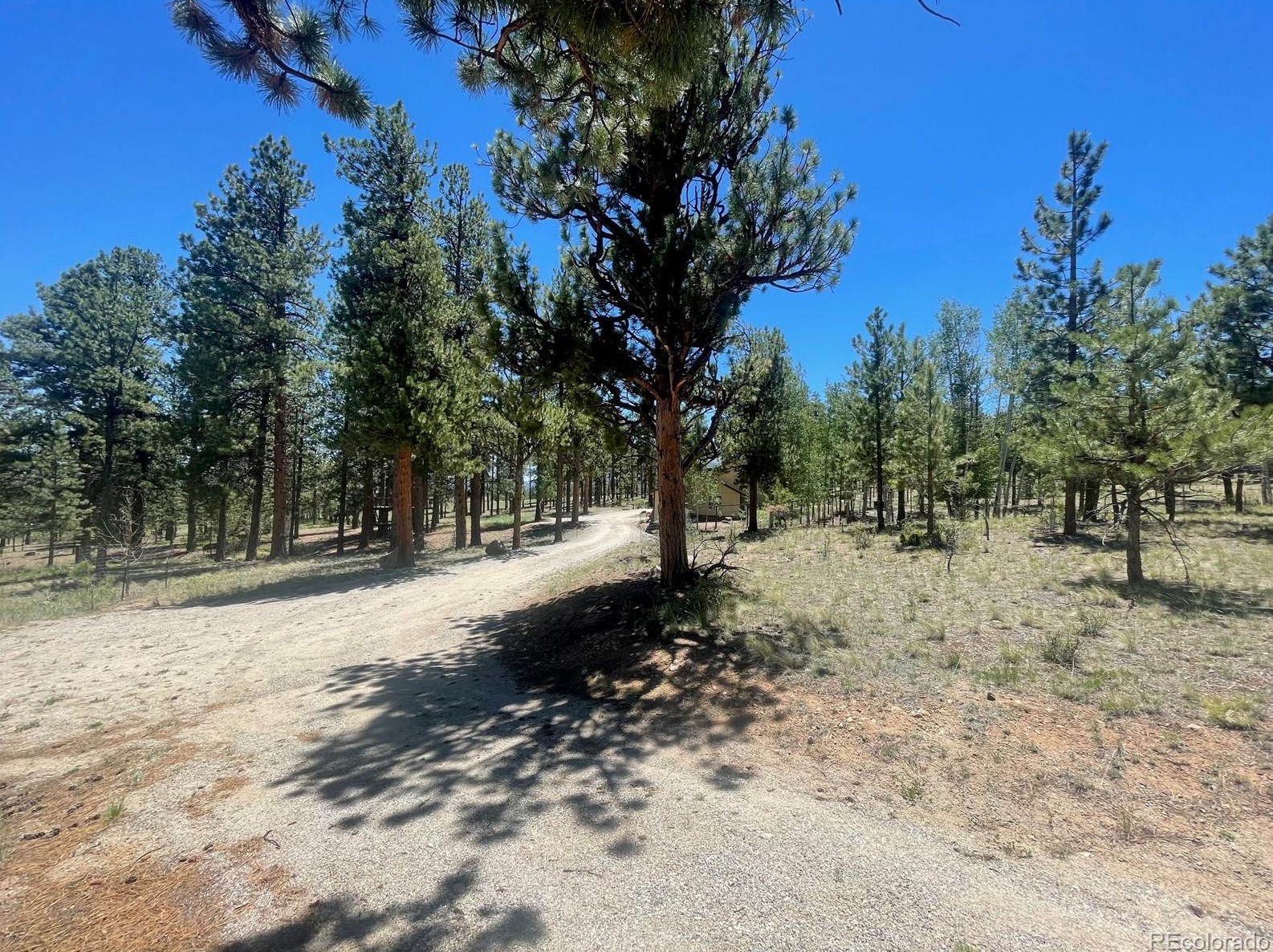 18563 Vis Dr, Buena Vista CO exterior