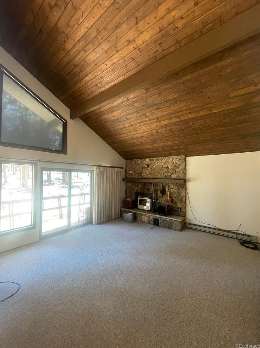 18563 Vis Dr, Buena Vista CO exterior