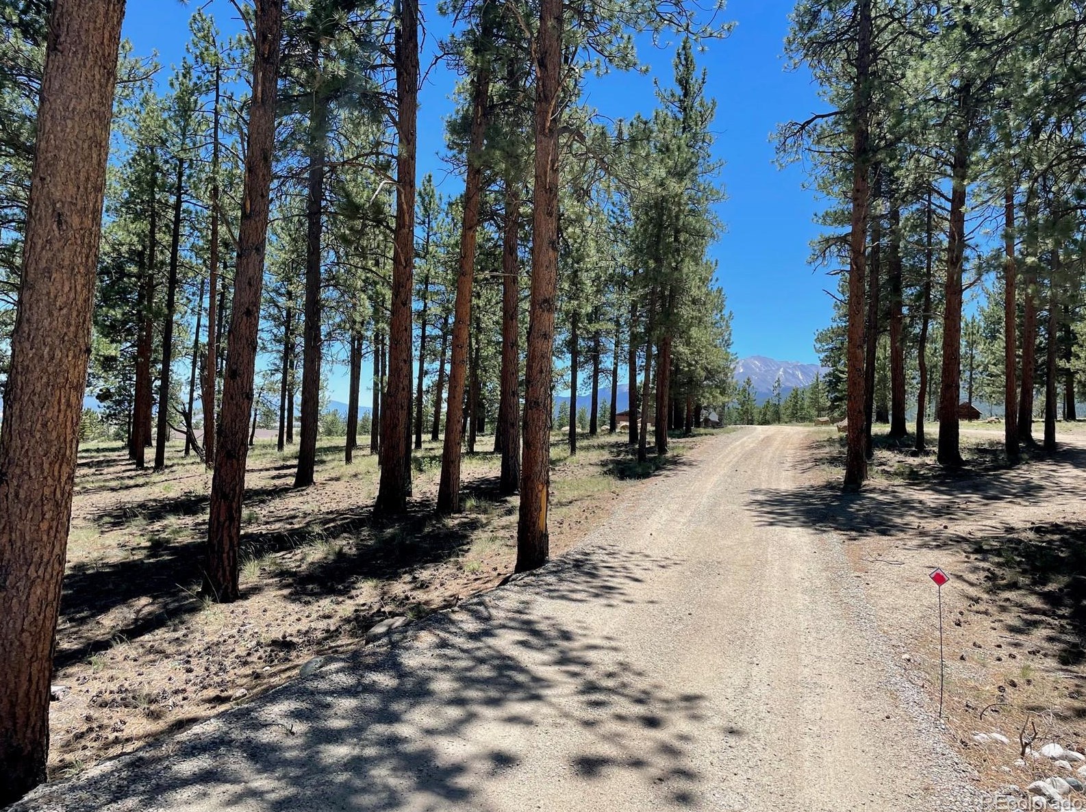 18563 Vis Dr, Buena Vista CO exterior