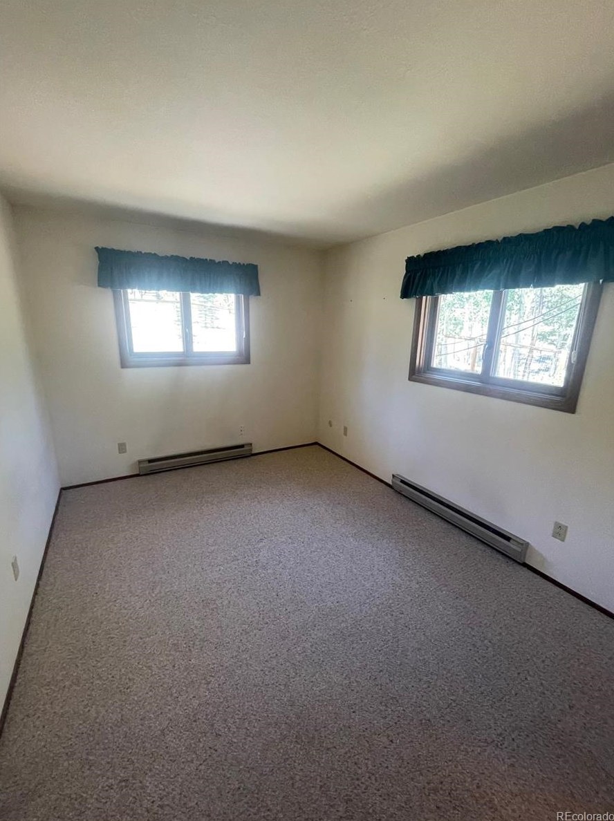 18563 Vis Dr, Buena Vista CO exterior