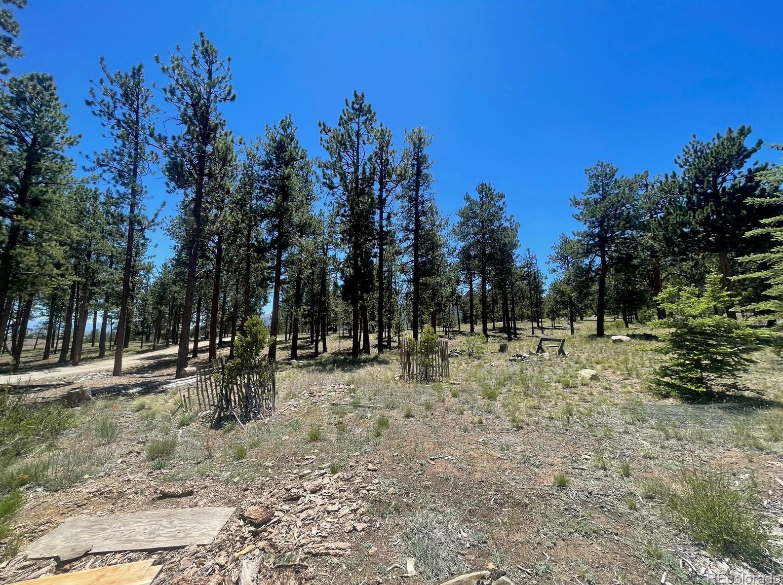 18563 Vis Dr, Buena Vista CO exterior