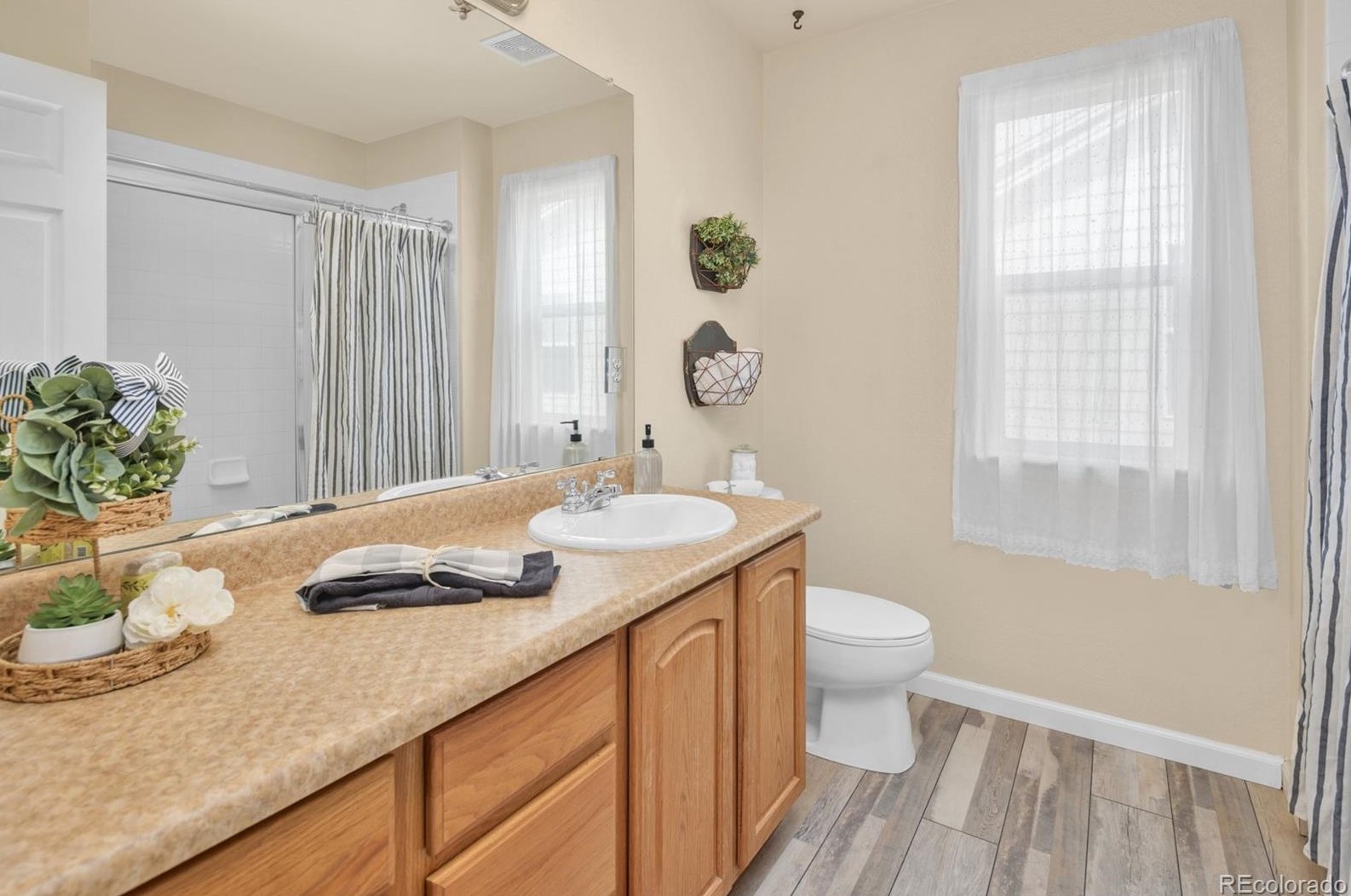8321 Arbutus St, Arvada CO  80005-5808 exterior