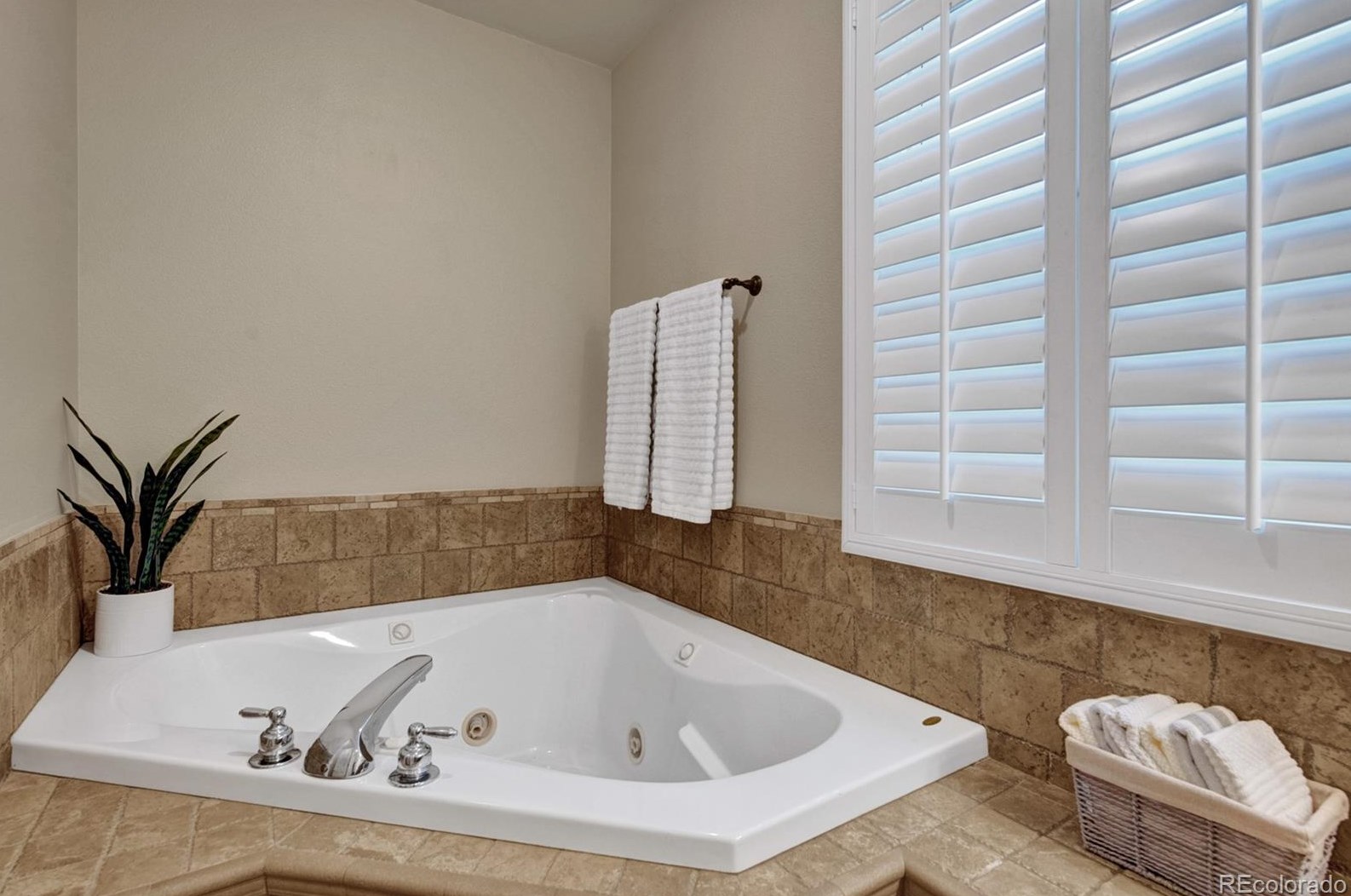 6818 Grand Pr Dr, Colorado Springs CO 80923-8763 exterior