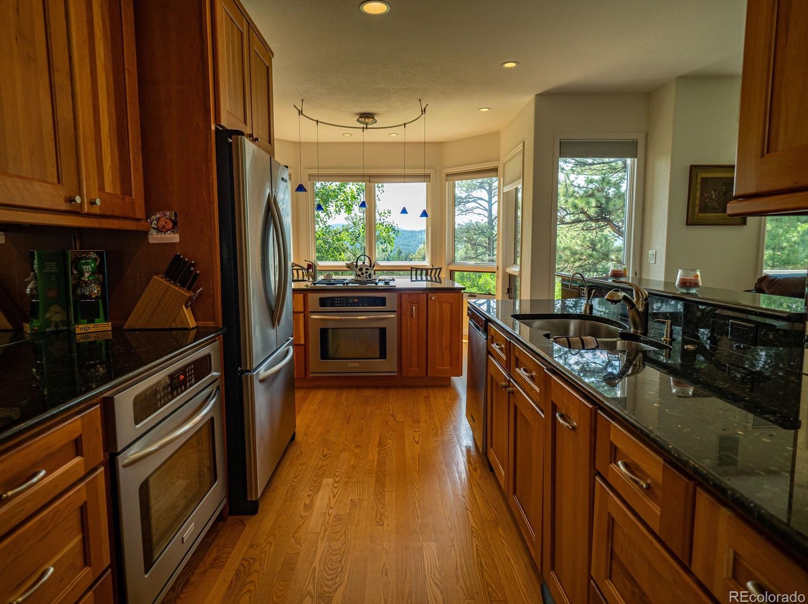 7294 S Sourdough Dr, Morrison, CO 80465