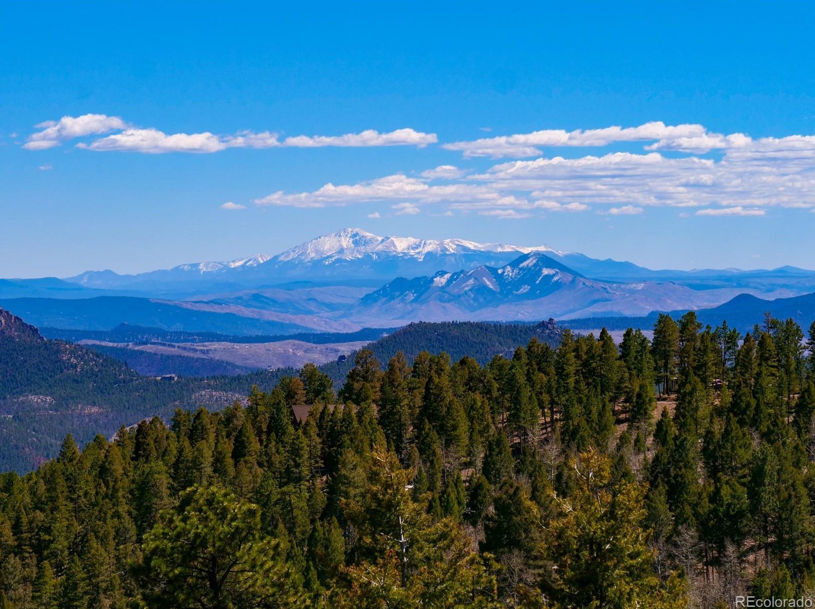 13208 Elsie Rd, Conifer, CO 80433