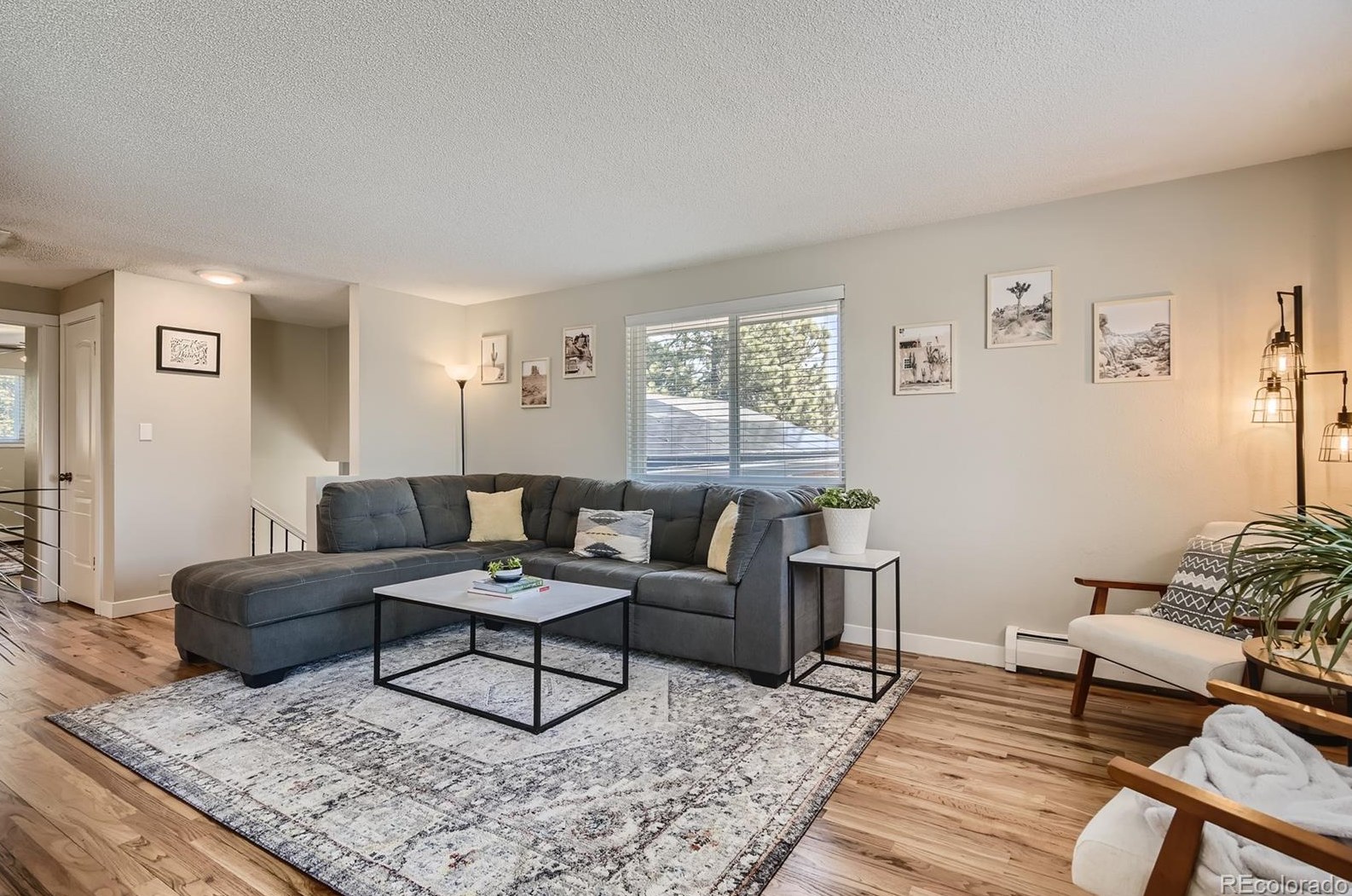 5309 Roxbury Pl, Littleton CO  80128-4967 exterior