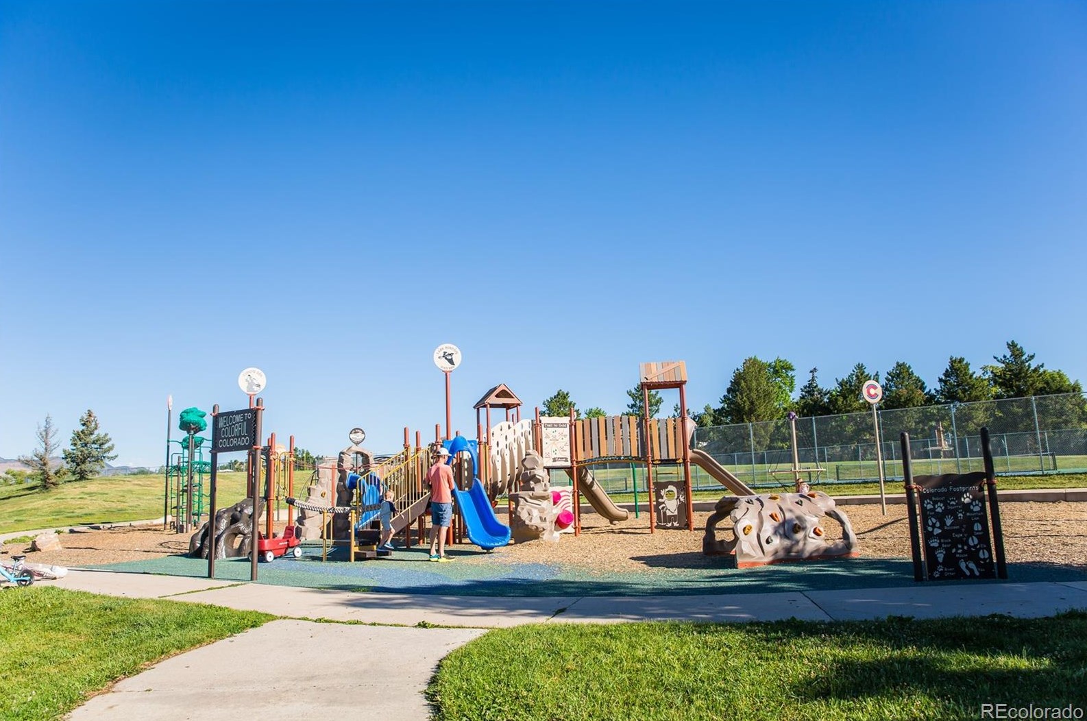 9536 Maplewood Ave, Littleton CO 80123-3428 exterior