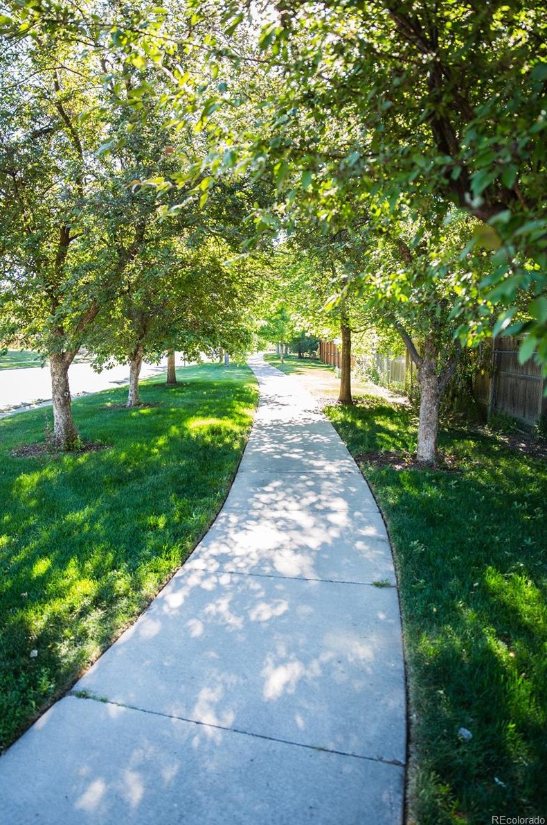 9536 Maplewood Ave, Littleton CO 80123-3428 exterior