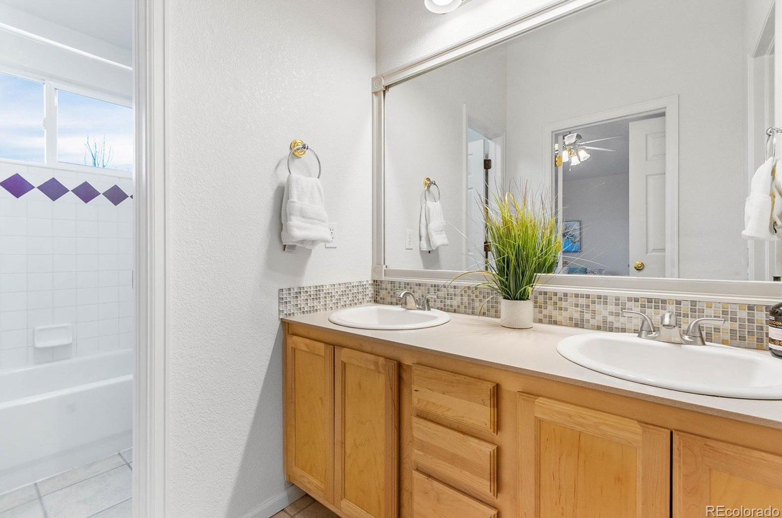 648 Pitkin Way, Castle Rock CO  80104-3267 exterior