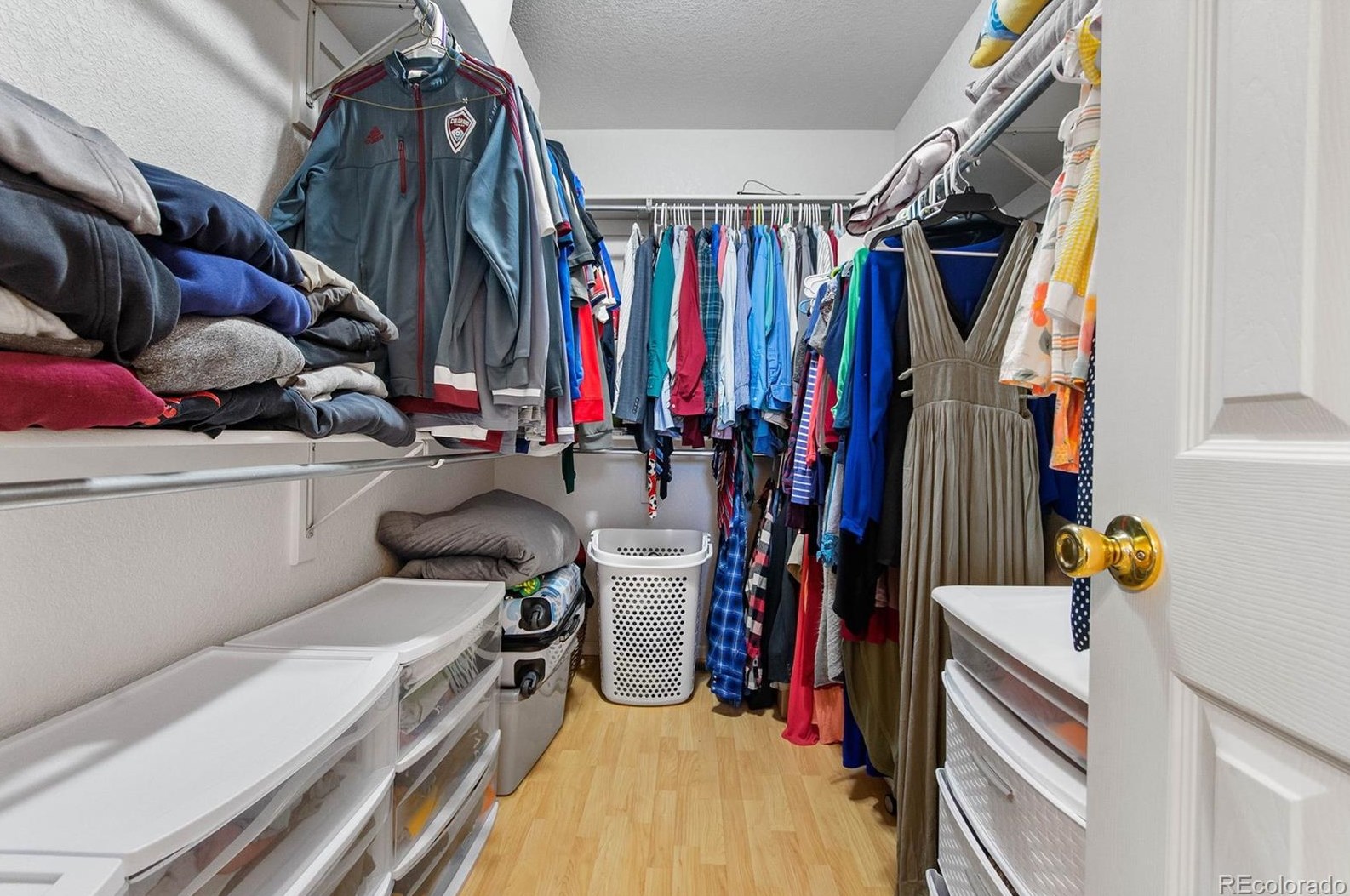 648 Pitkin Way, Castle Rock CO  80104-3267 exterior