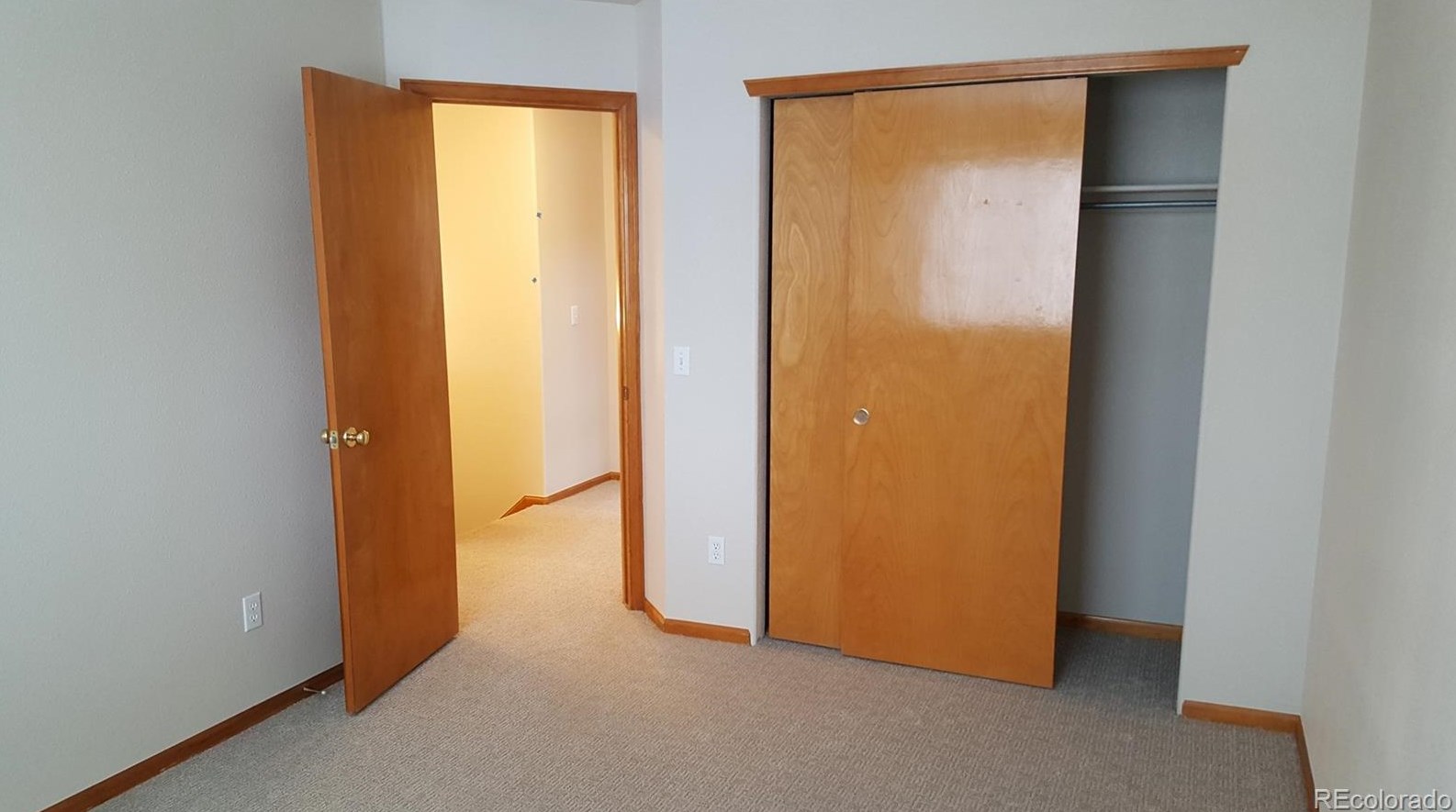 1062 Timbervale Trl, Littleton CO 80129-6945 exterior