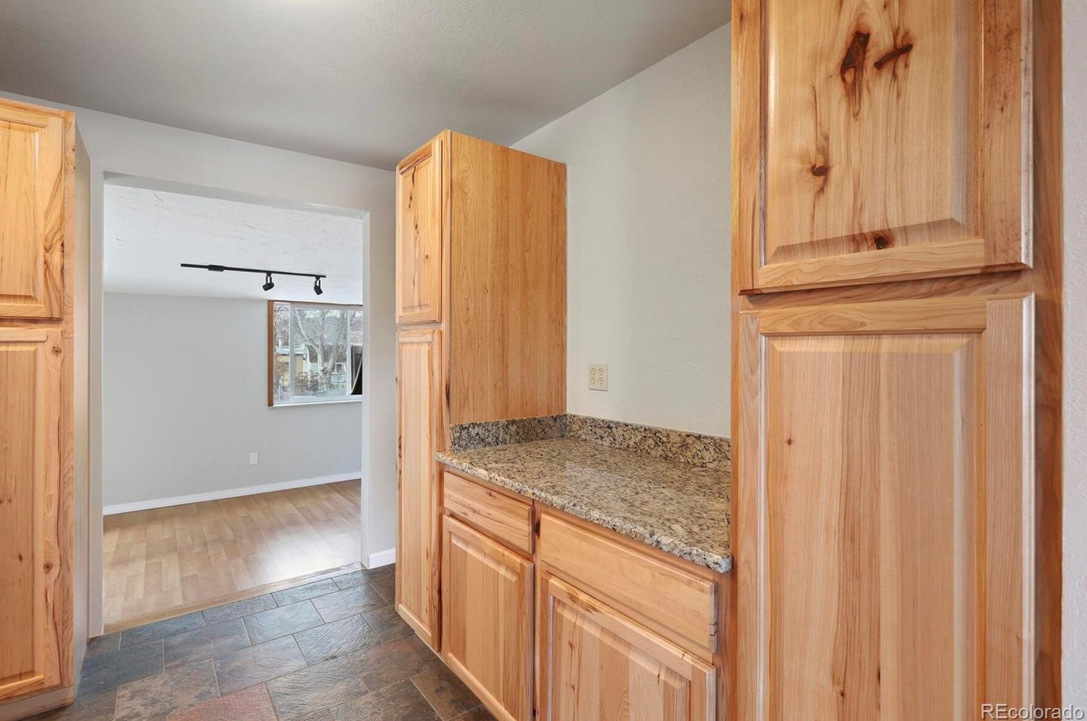 105 Birch Ave, Castle Rock CO 80104-2225 exterior