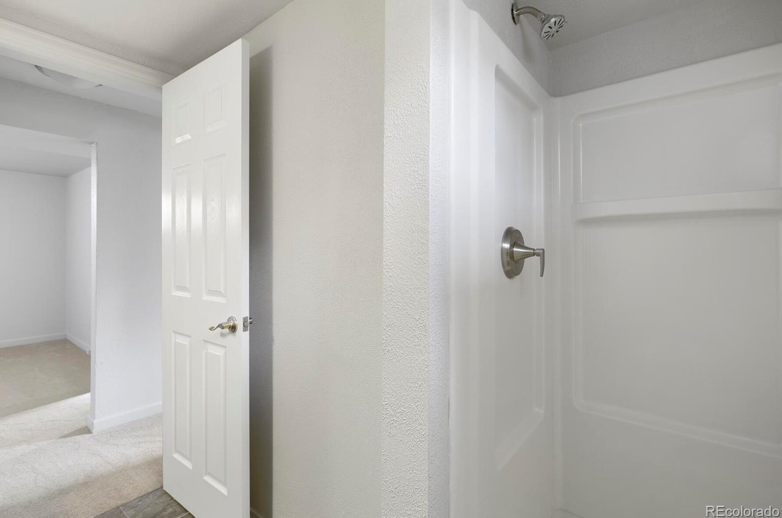 105 Birch Ave, Castle Rock CO 80104-2225 exterior