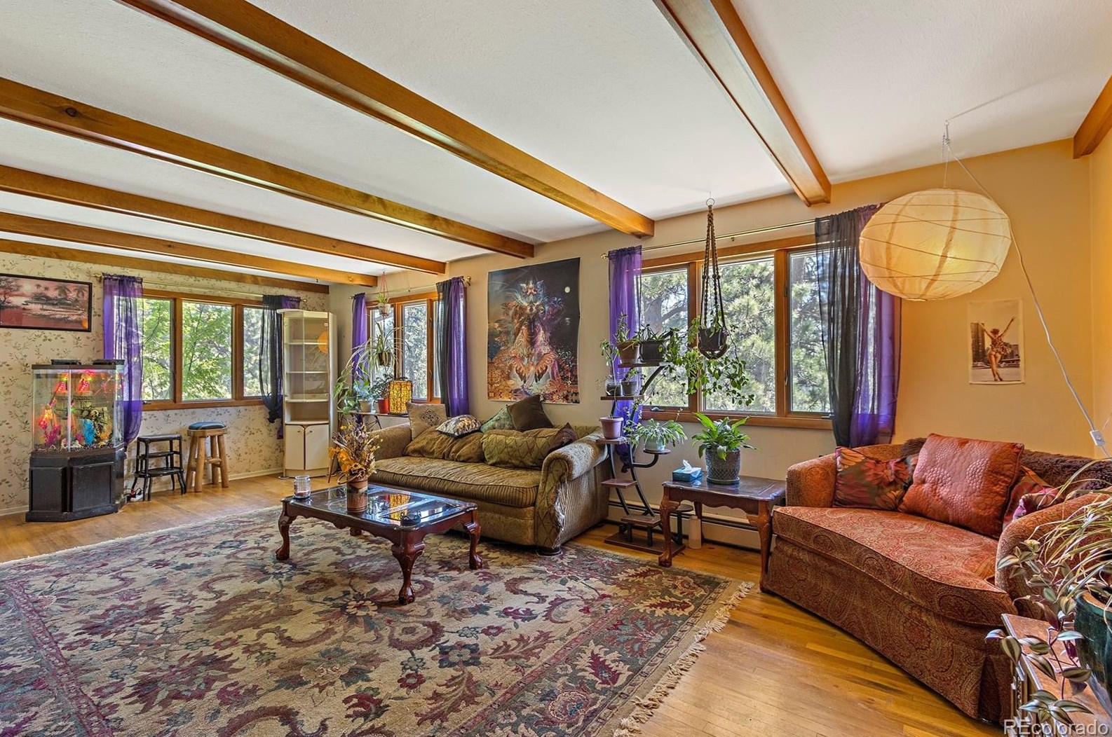 5544 Hatch Dr, Lakewood, CO 80439