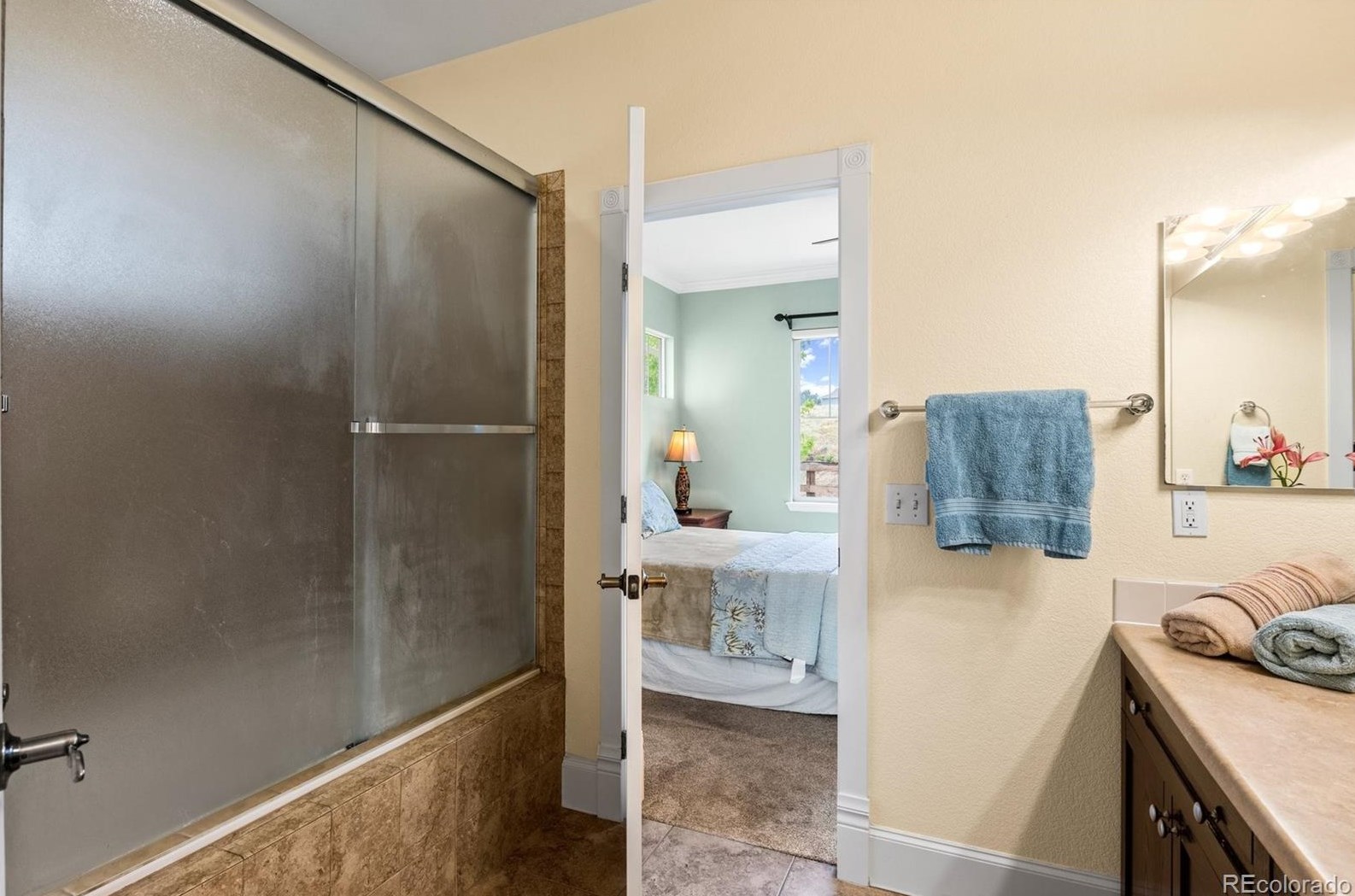 4323 Pr Rose Cir, Castle Rock CO 80109-4557 exterior