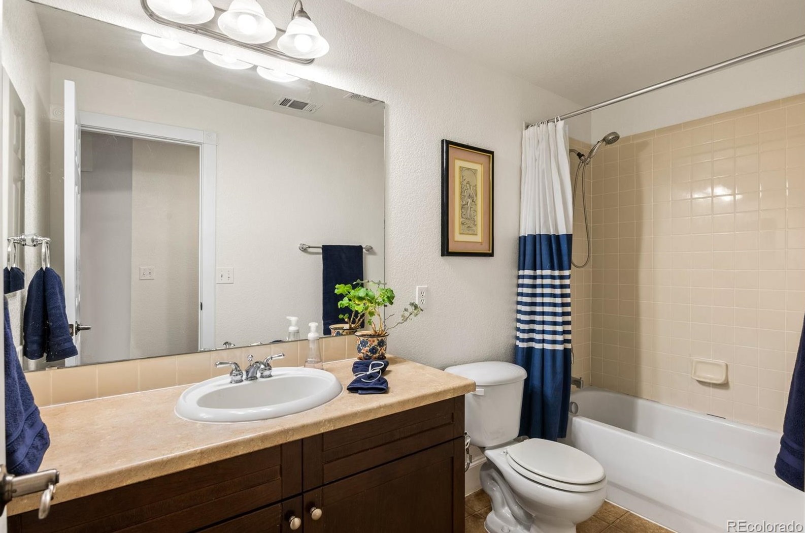 4323 Pr Rose Cir, Castle Rock CO 80109-4557 exterior