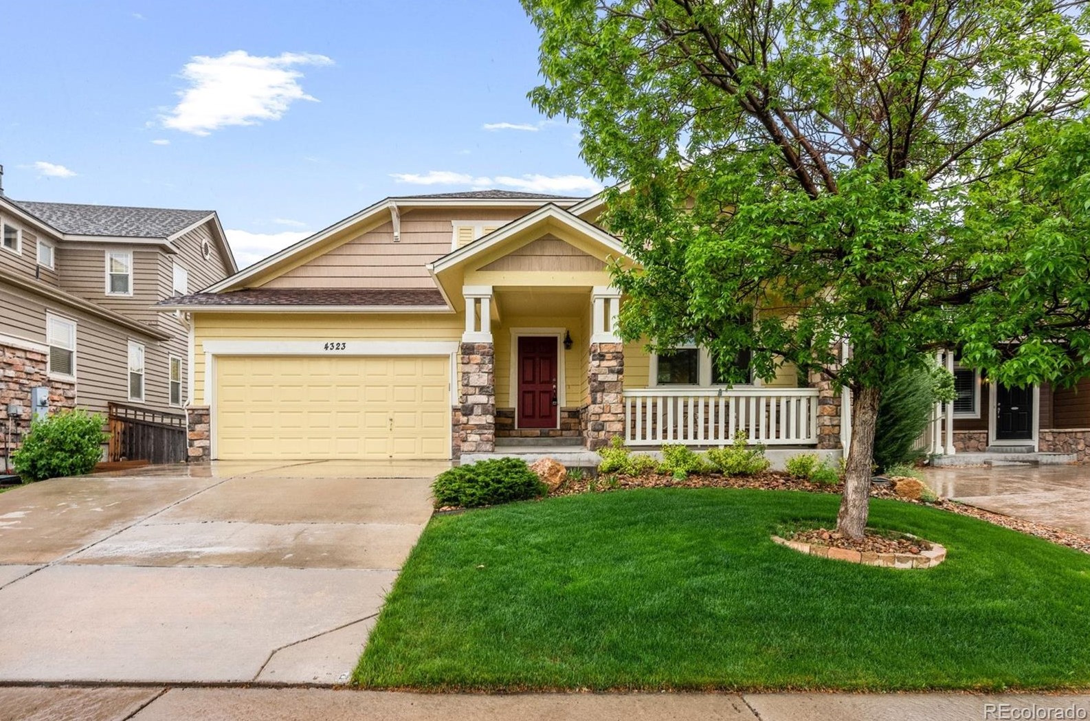 4323 Pr Rose Cir, Castle Rock CO 80109-4557 exterior