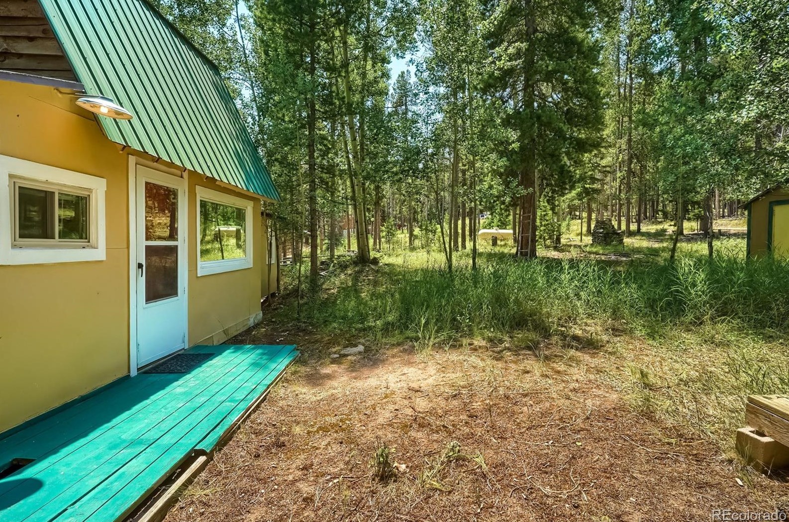 10978 Schweigert Ave, Conifer, CO 80433
