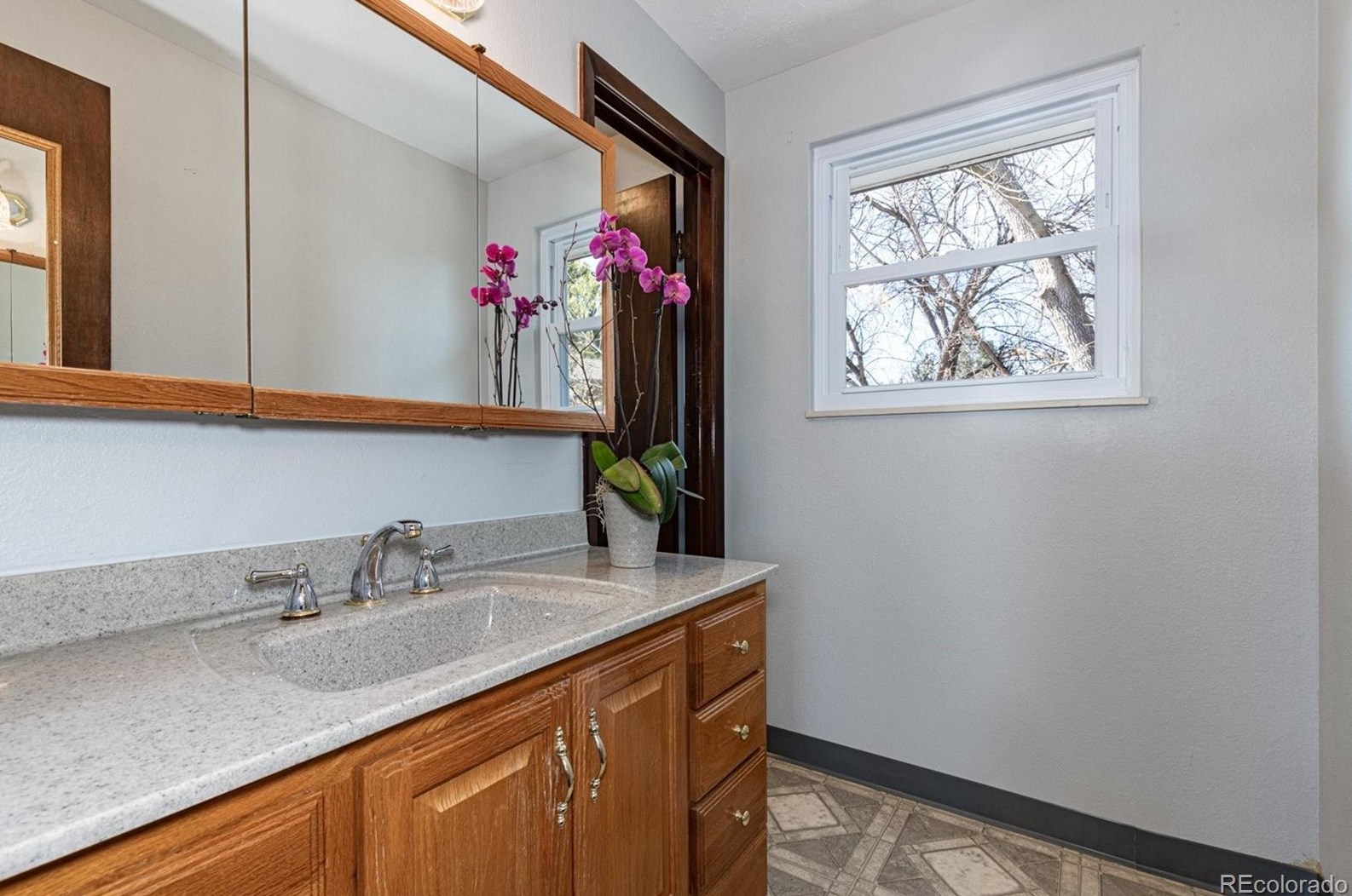 7467 Ames Ct, Littleton CO 80128-7002 exterior