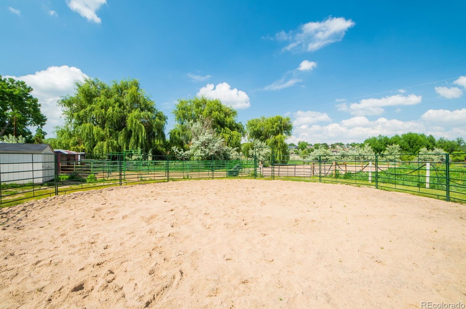 12441 75th Ave, Arvada CO  80005-3117 exterior