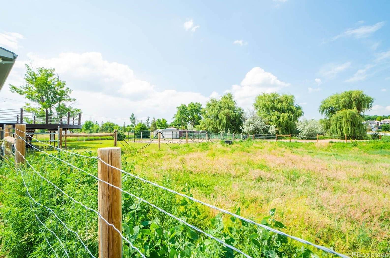 12441 75th Ave, Arvada CO  80005-3117 exterior