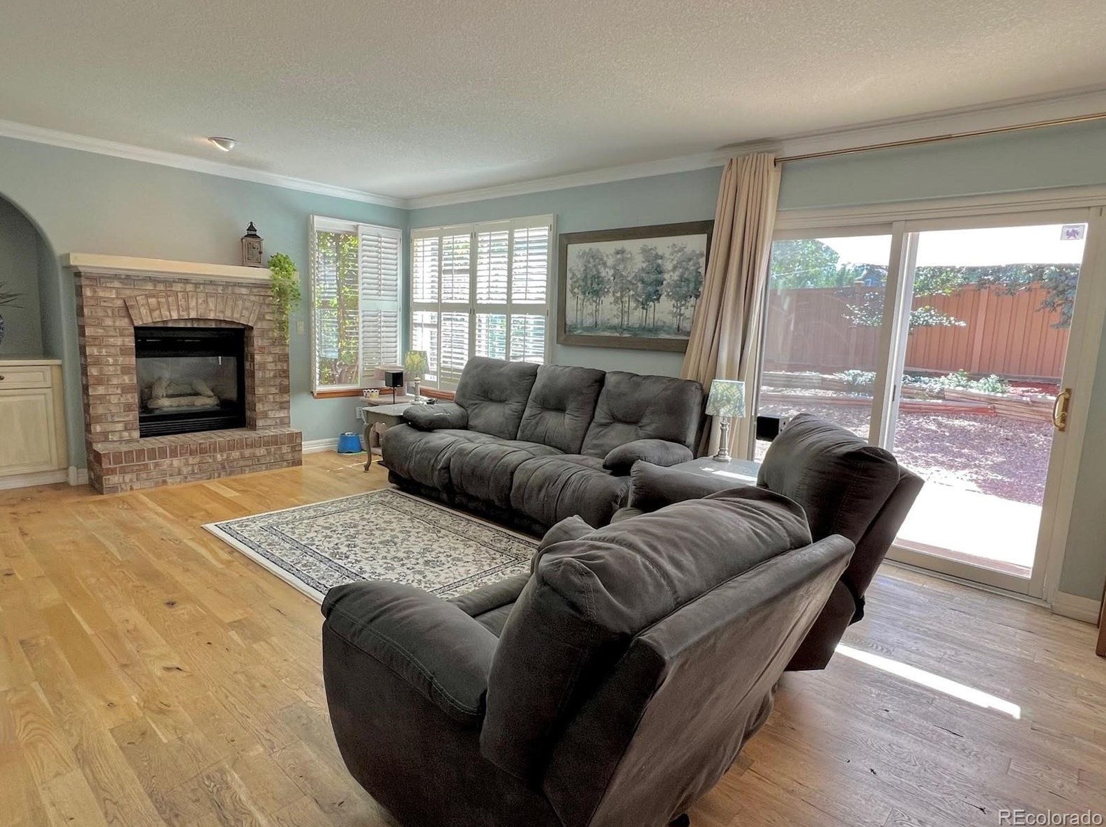 9535 Morning Glory Ct, Littleton CO exterior