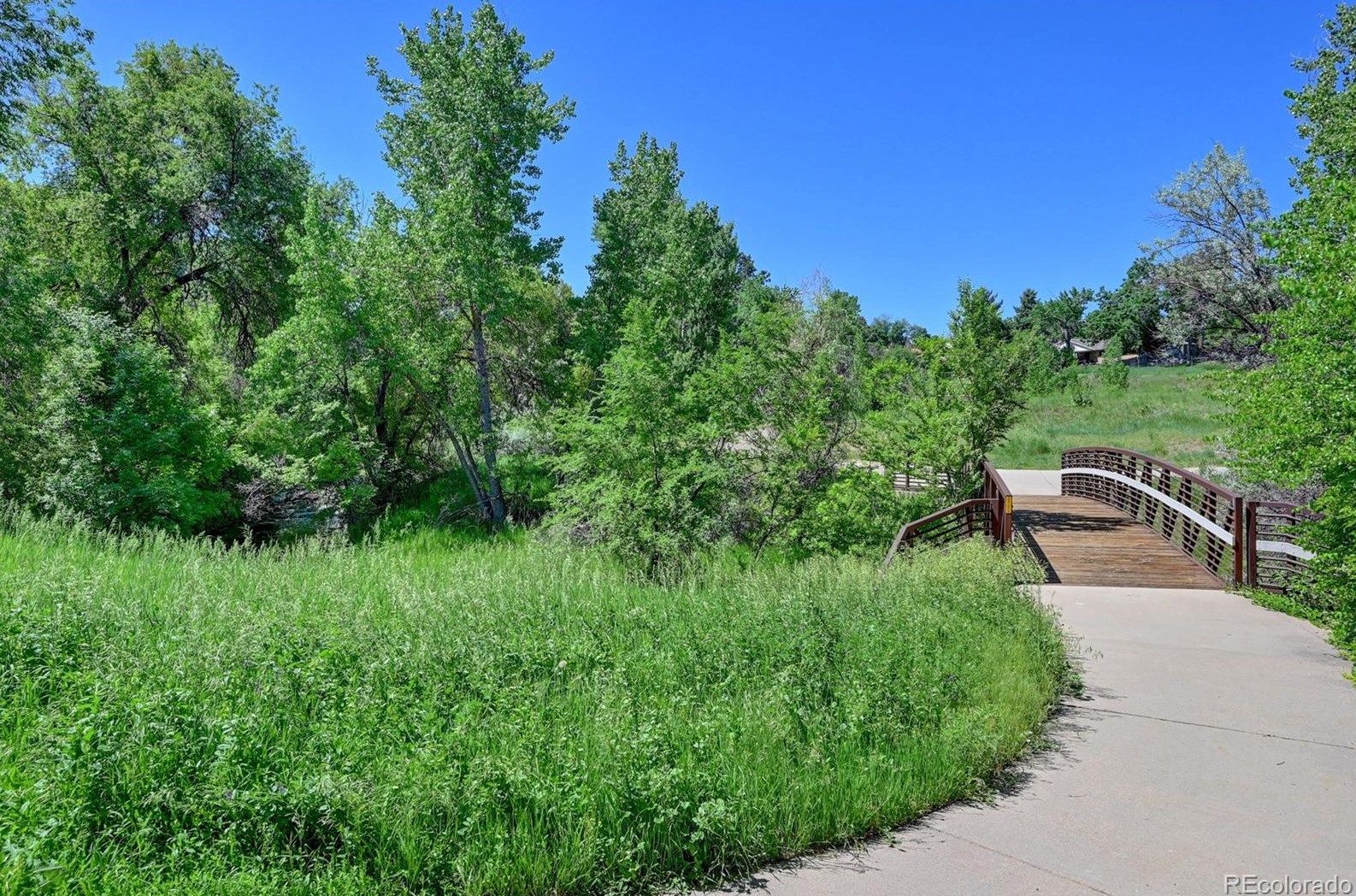 4208 Maplewood Way, Littleton CO  80121-3319 exterior