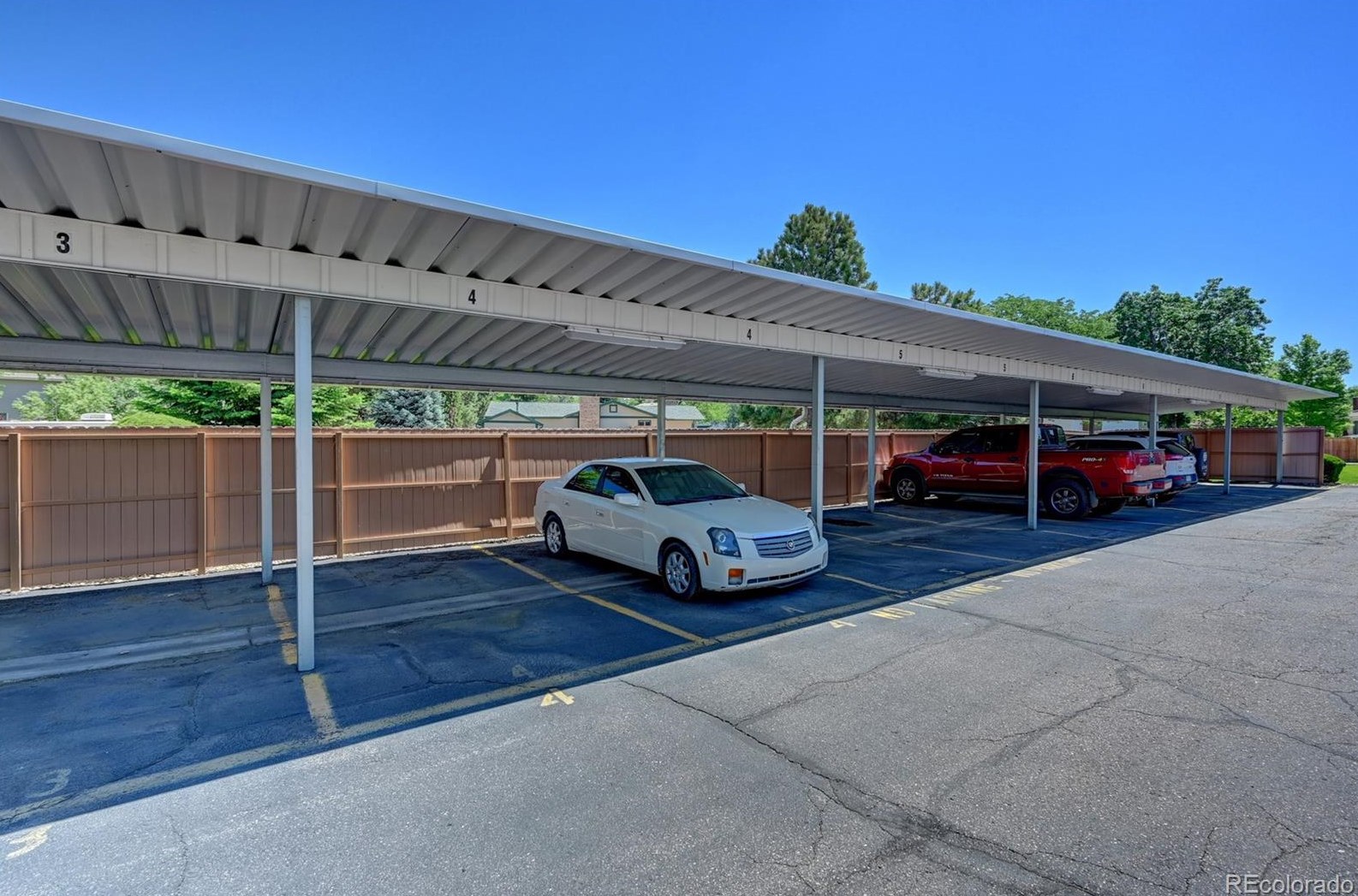 4208 Maplewood Way, Littleton CO  80121-3319 exterior