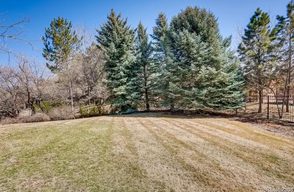 14 Arabian Pl, Littleton CO 80123-6683 exterior