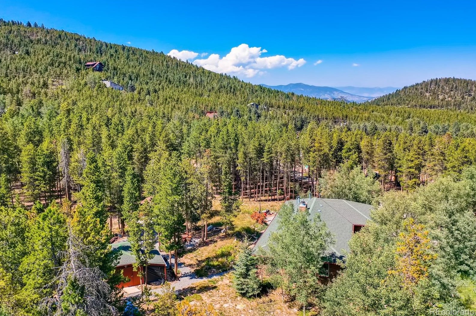 31674 Black Widow Way, Conifer, CO 80433