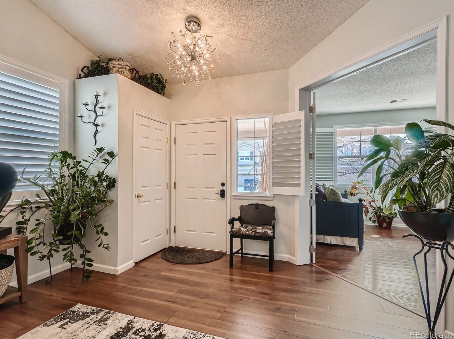 4103 Miners Candle Pl, Castle Rock CO  80109-3569 exterior