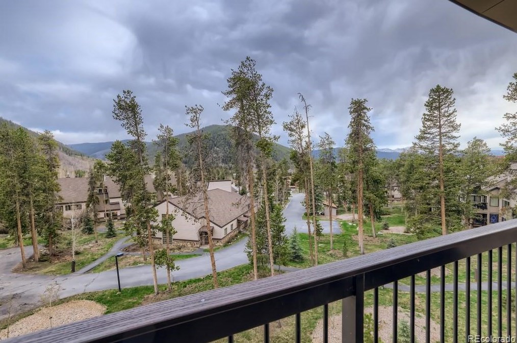180 Tennis Club Rd #1647, Montezuma, CO 80435