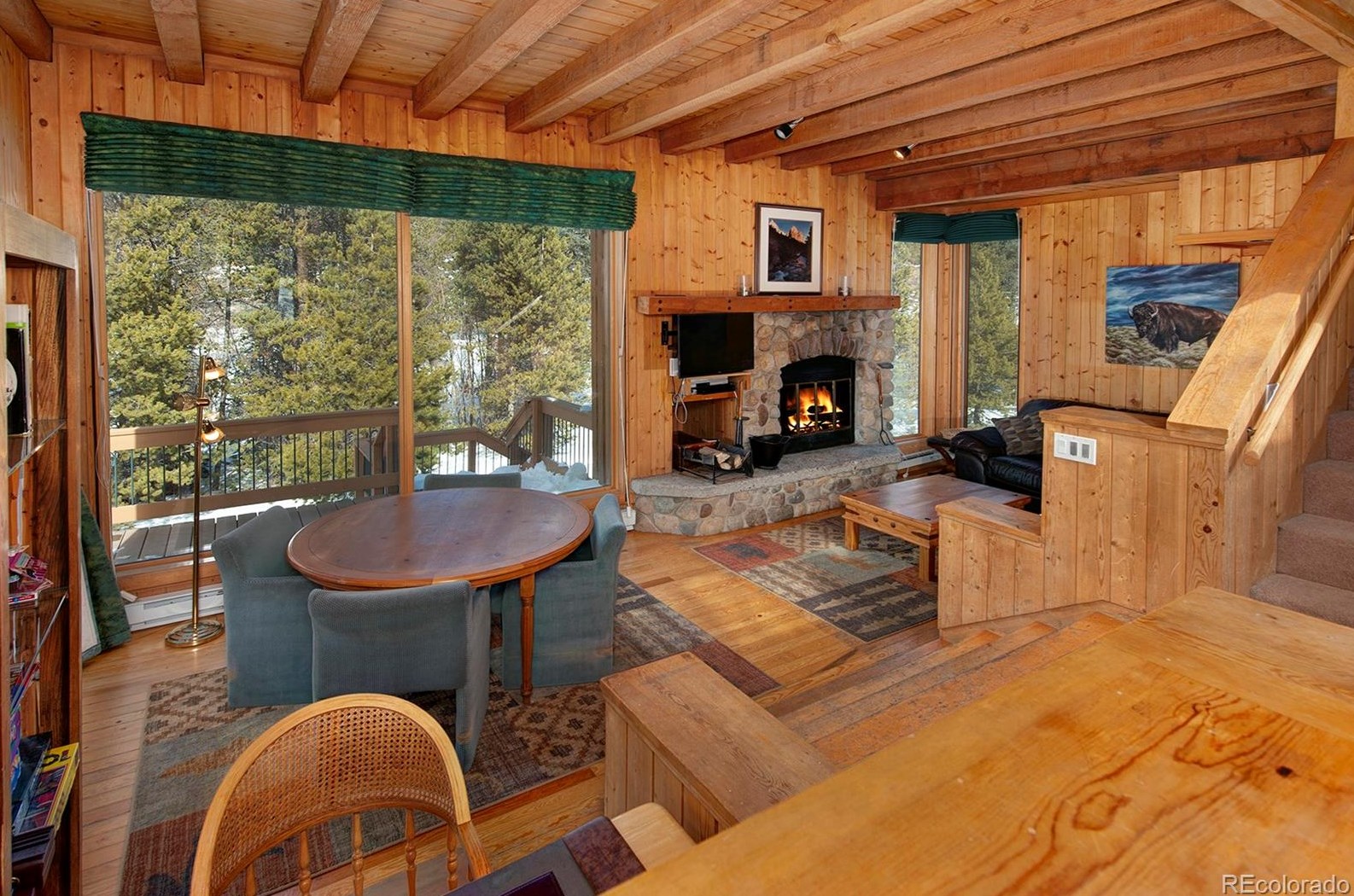 1217 Soda Ridge Rd, Montezuma, CO 80435