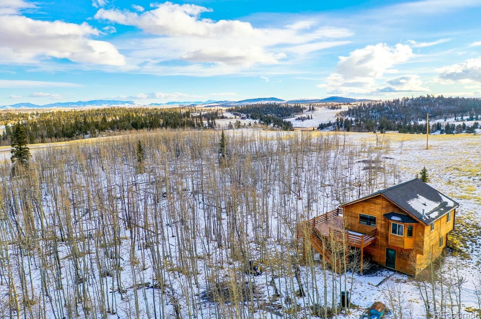 692 Kiowa St, Fairplay, CO 80432