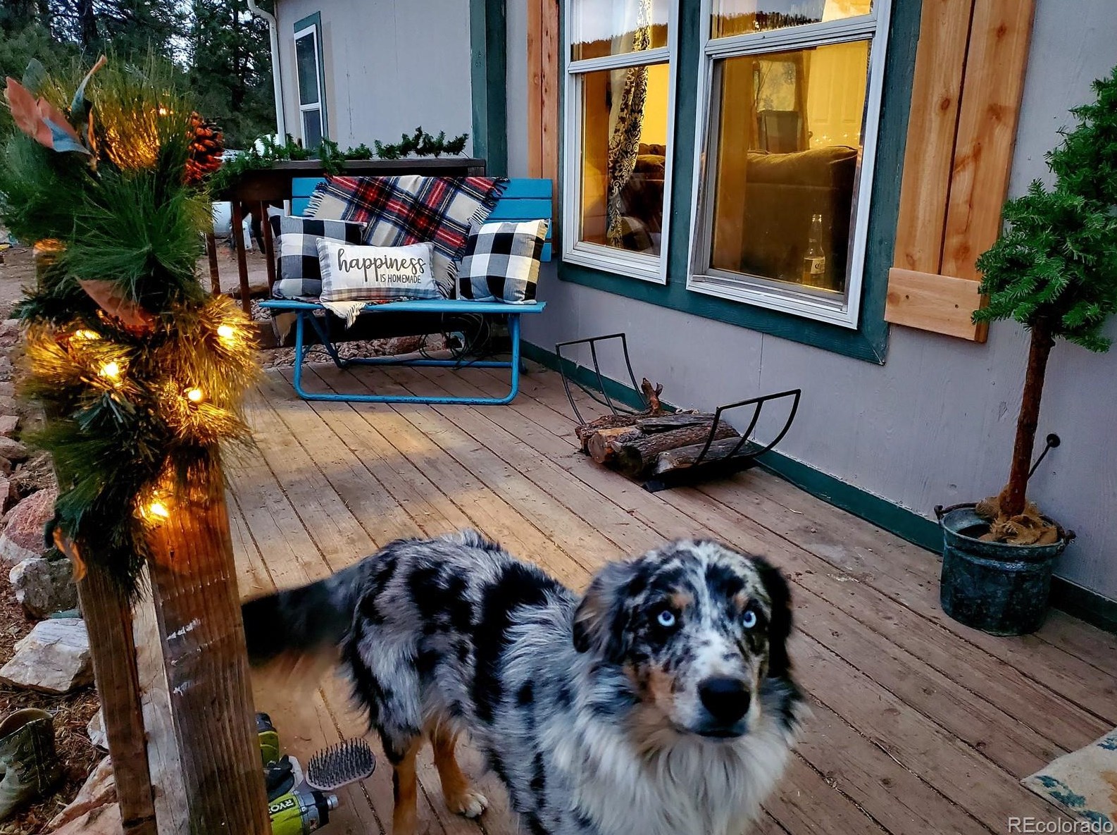 4573 Doe Valley Rd, Guffey, CO 80820